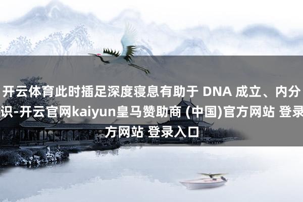 开云体育此时插足深度寝息有助于 DNA 成立、内分泌相识-开云官网kaiyun皇马赞助商 (中国)官方网站 登录入口