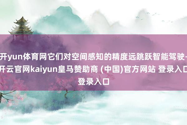 开yun体育网它们对空间感知的精度远跳跃智能驾驶-开云官网kaiyun皇马赞助商 (中国)官方网站 登录入口