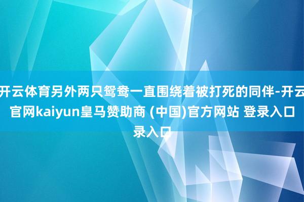 开云体育另外两只鸳鸯一直围绕着被打死的同伴-开云官网kaiyun皇马赞助商 (中国)官方网站 登录入口