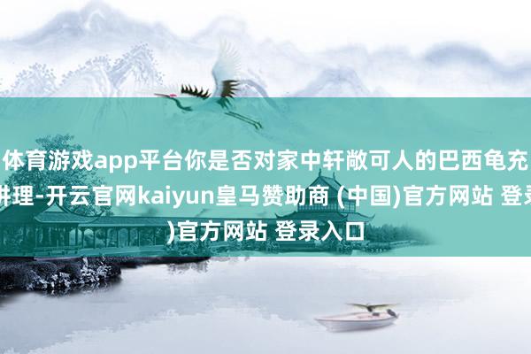 体育游戏app平台你是否对家中轩敞可人的巴西龟充满了讲理-开云官网kaiyun皇马赞助商 (中国)官方网站 登录入口