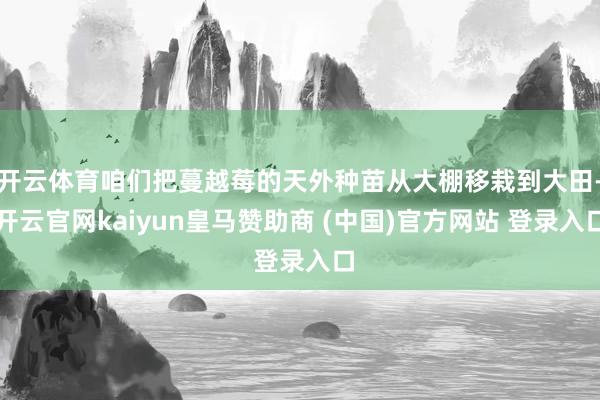 开云体育咱们把蔓越莓的天外种苗从大棚移栽到大田-开云官网kaiyun皇马赞助商 (中国)官方网站 登录入口